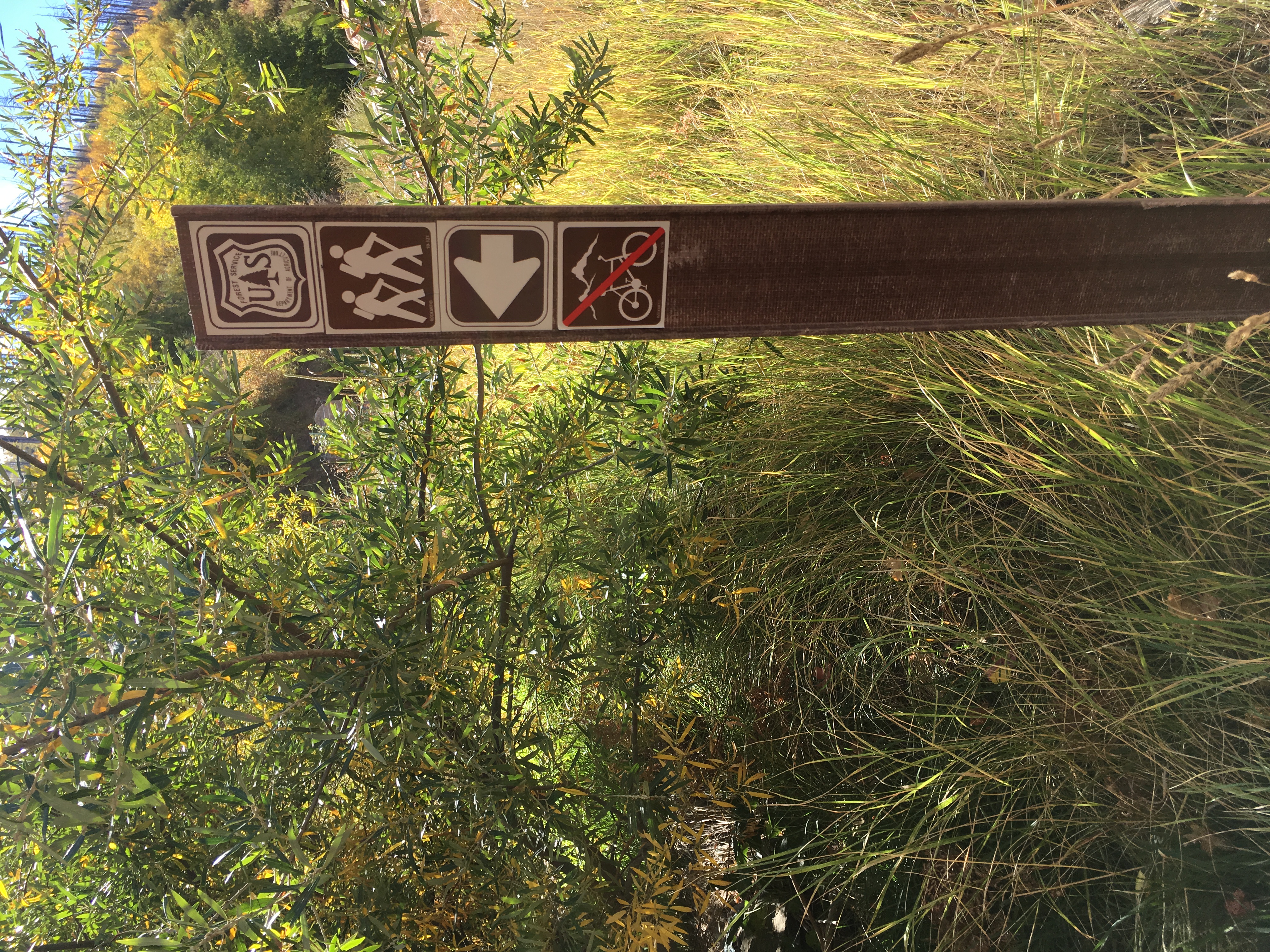 Hike Mint Springs Trail