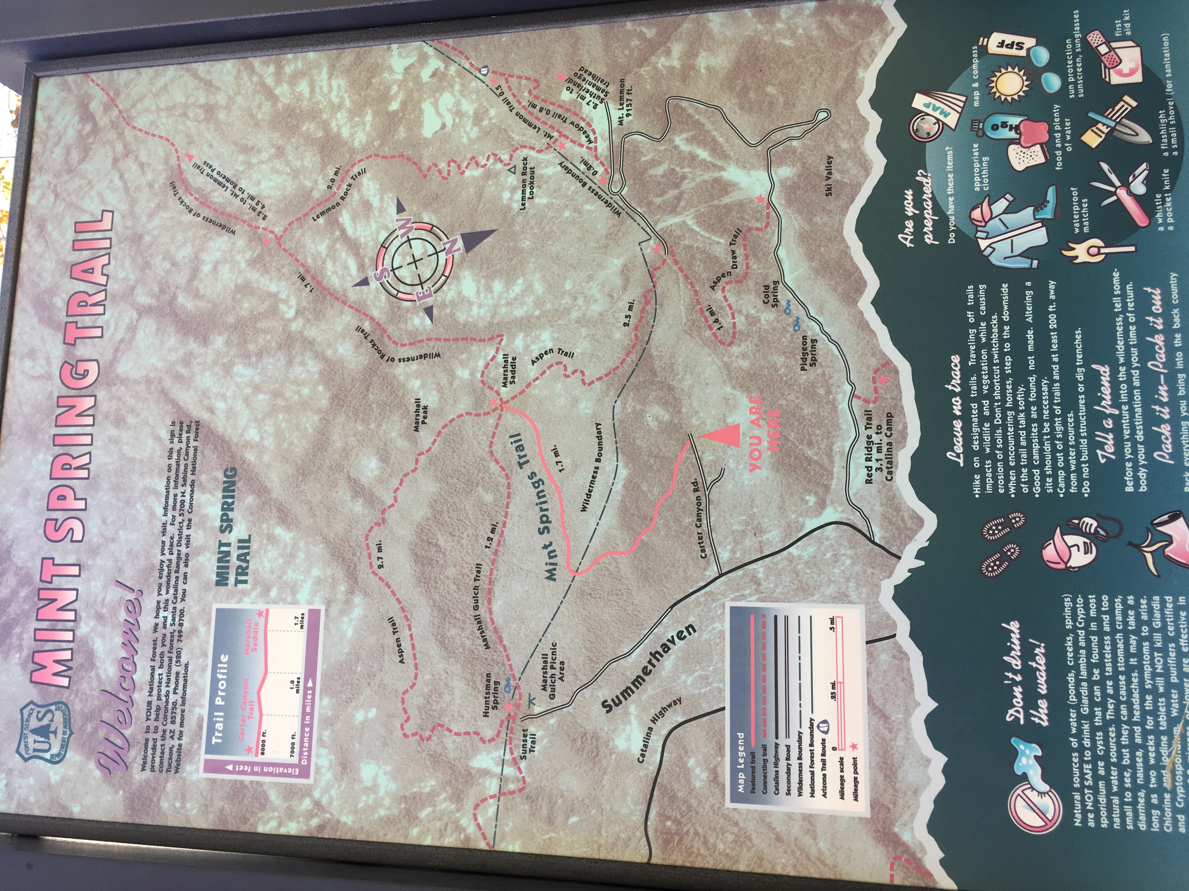 Hike Mint Springs Trail