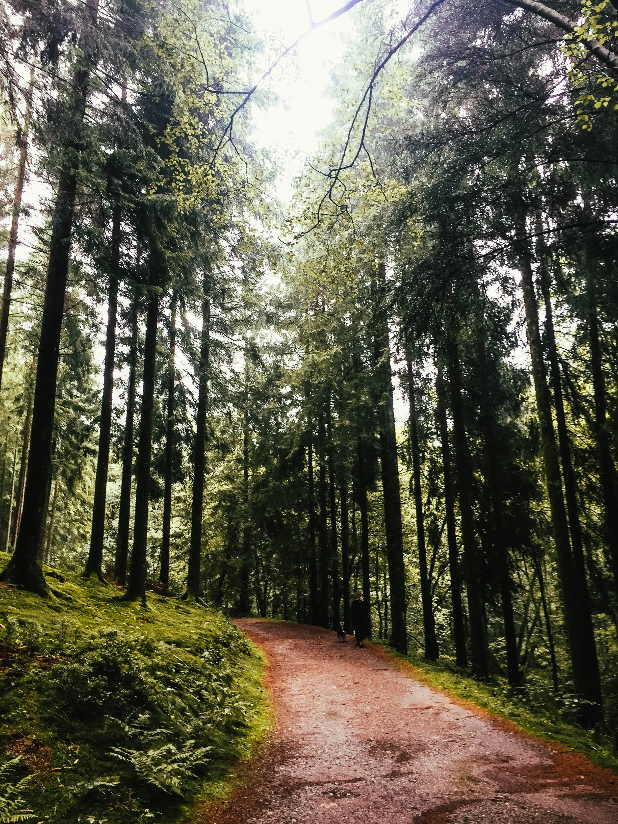 High Fens Loop