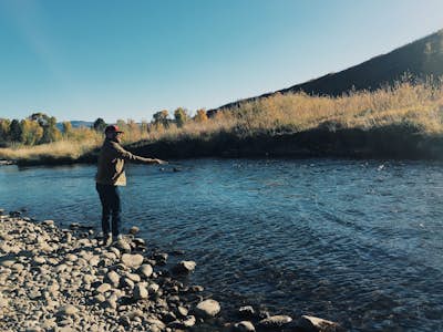 Fly Fish the Middle Provo River