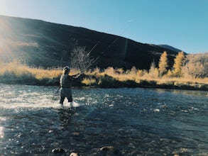 Fly Fish the Middle Provo River