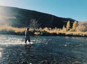 Fly Fish the Middle Provo River
