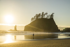 10 Photos to Inspire You to Explore Olympic National Park 