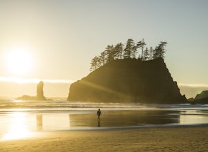 10 Photos to Inspire You to Explore Olympic National Park 