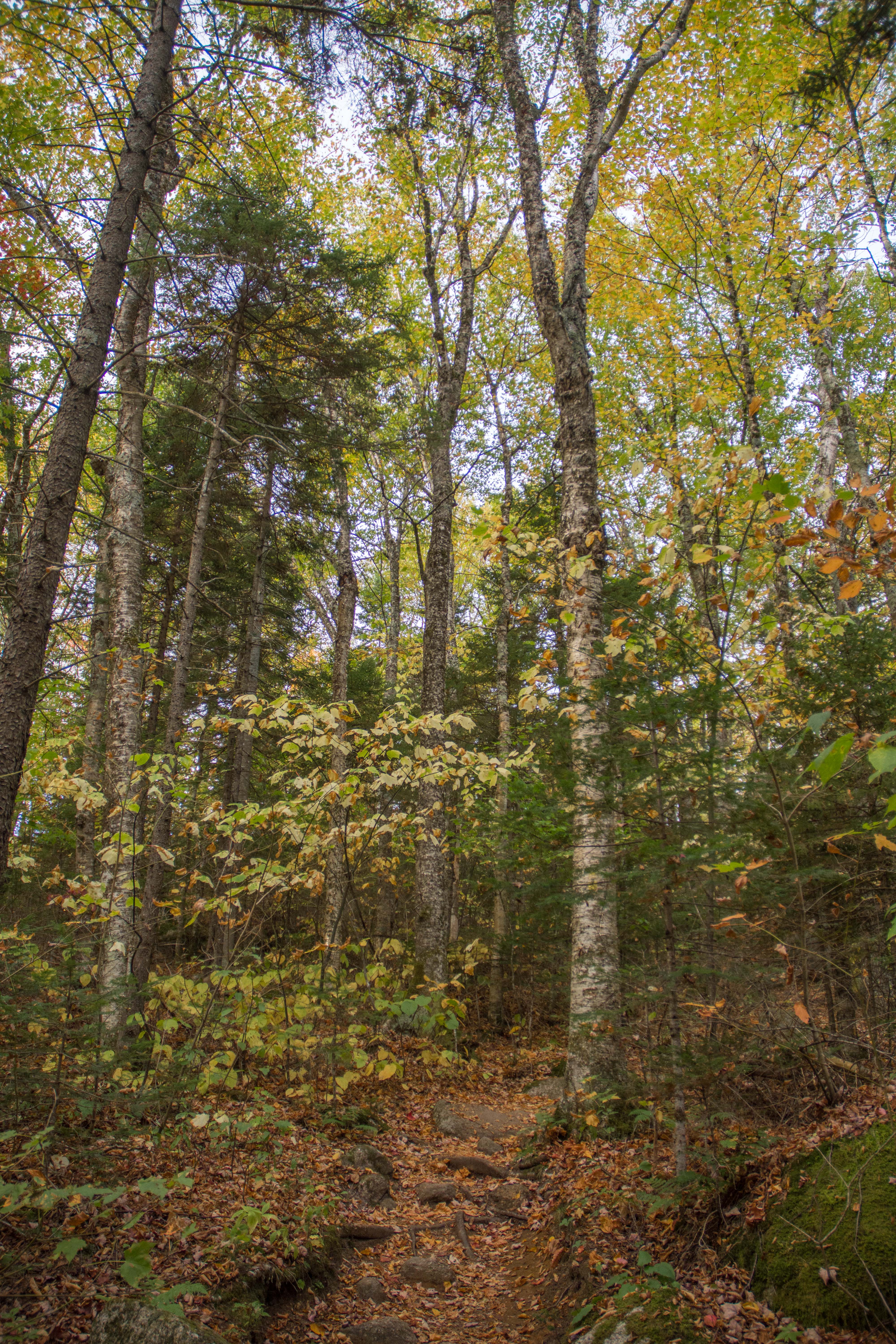 Hike the Sugarloaf Trail