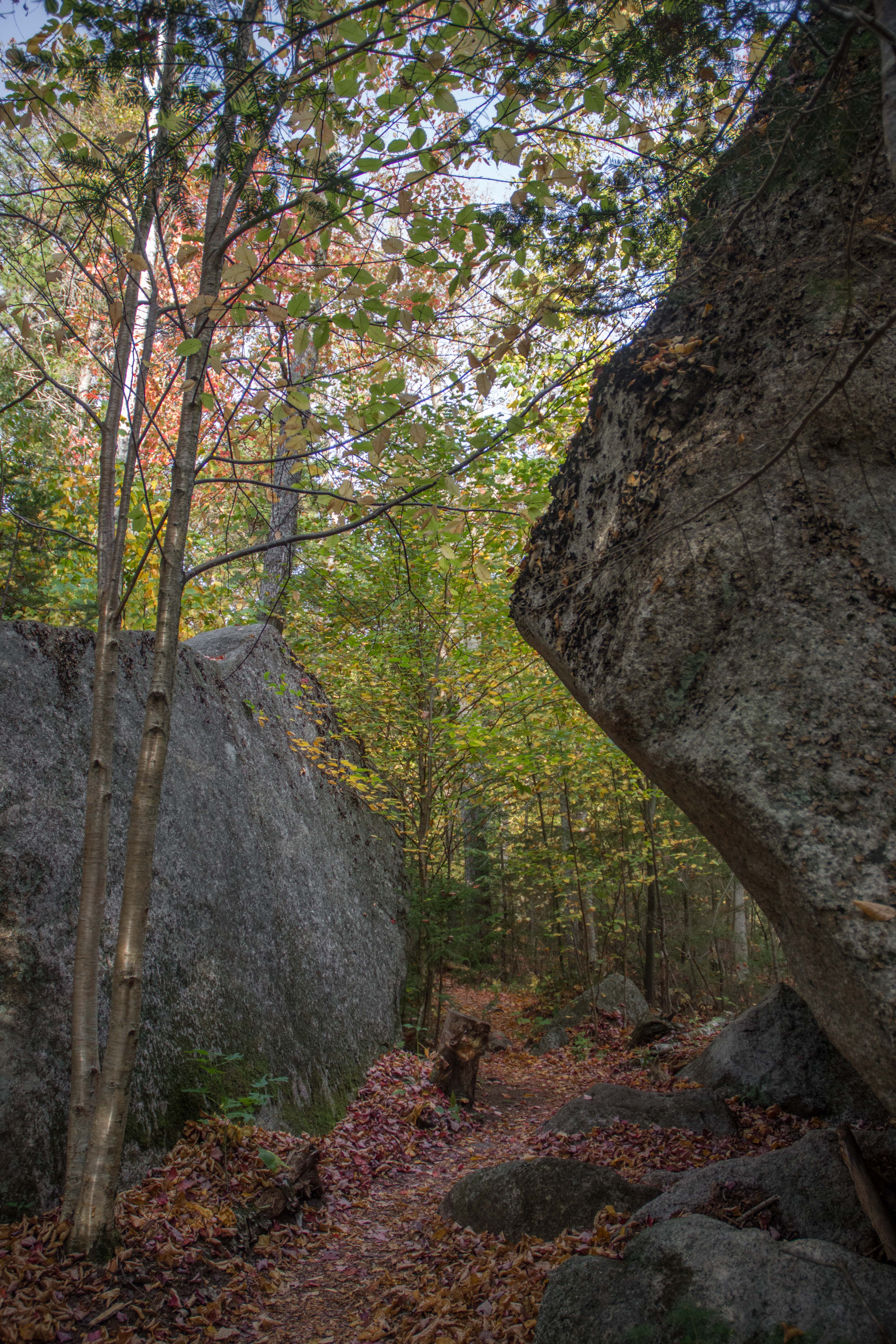 Hike the Sugarloaf Trail