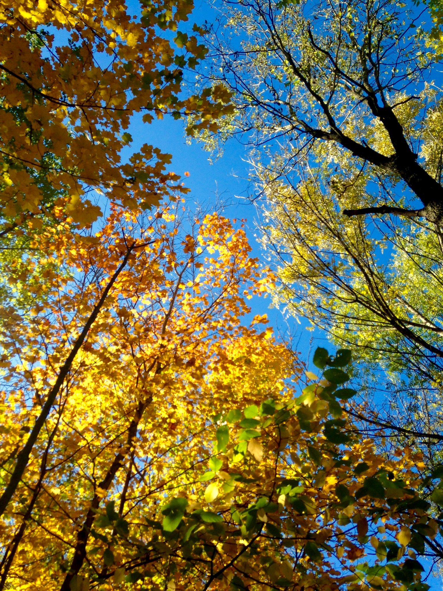Hike to the Kentucky River Palisades