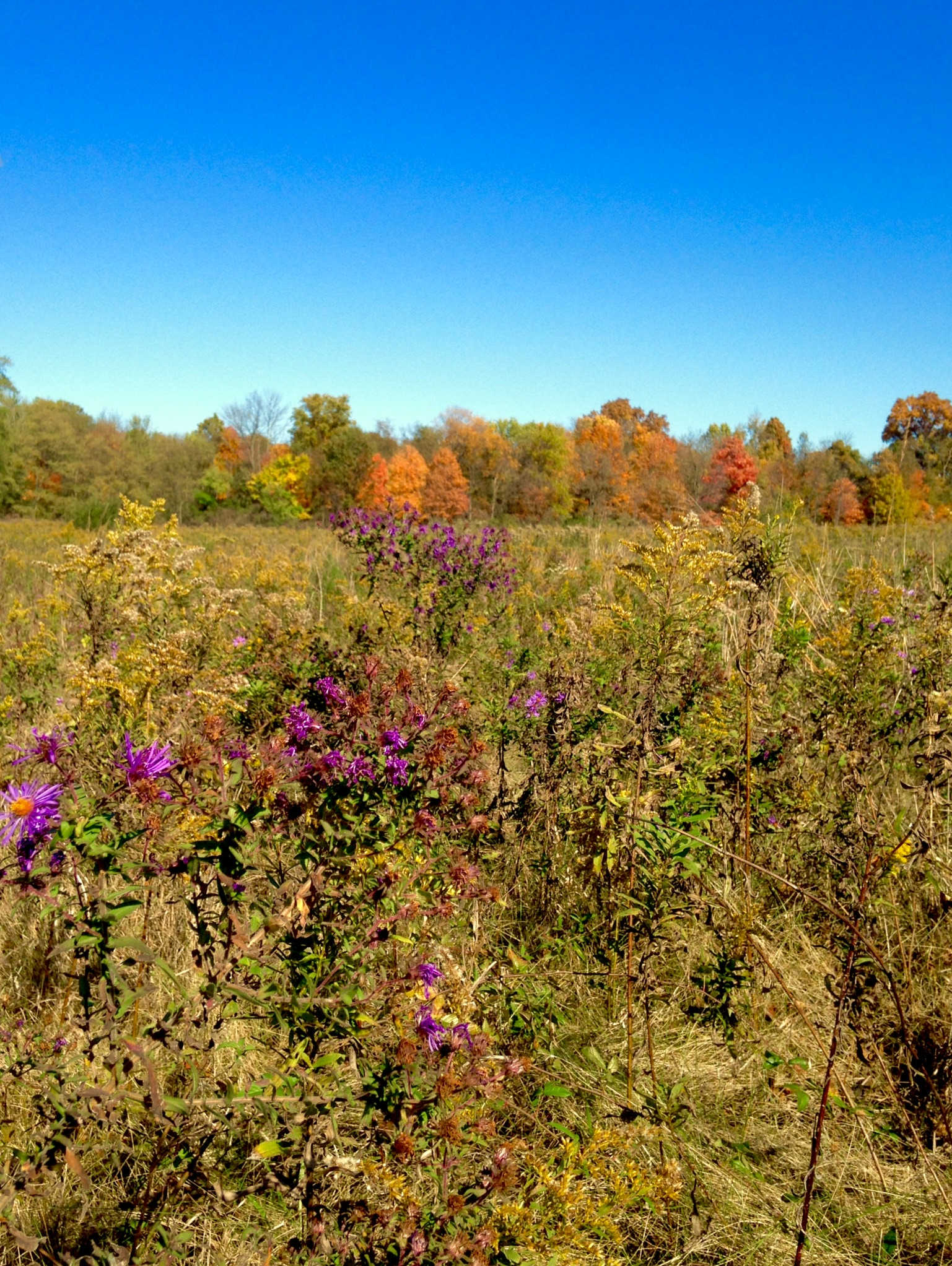 Hike to the Kentucky River Palisades