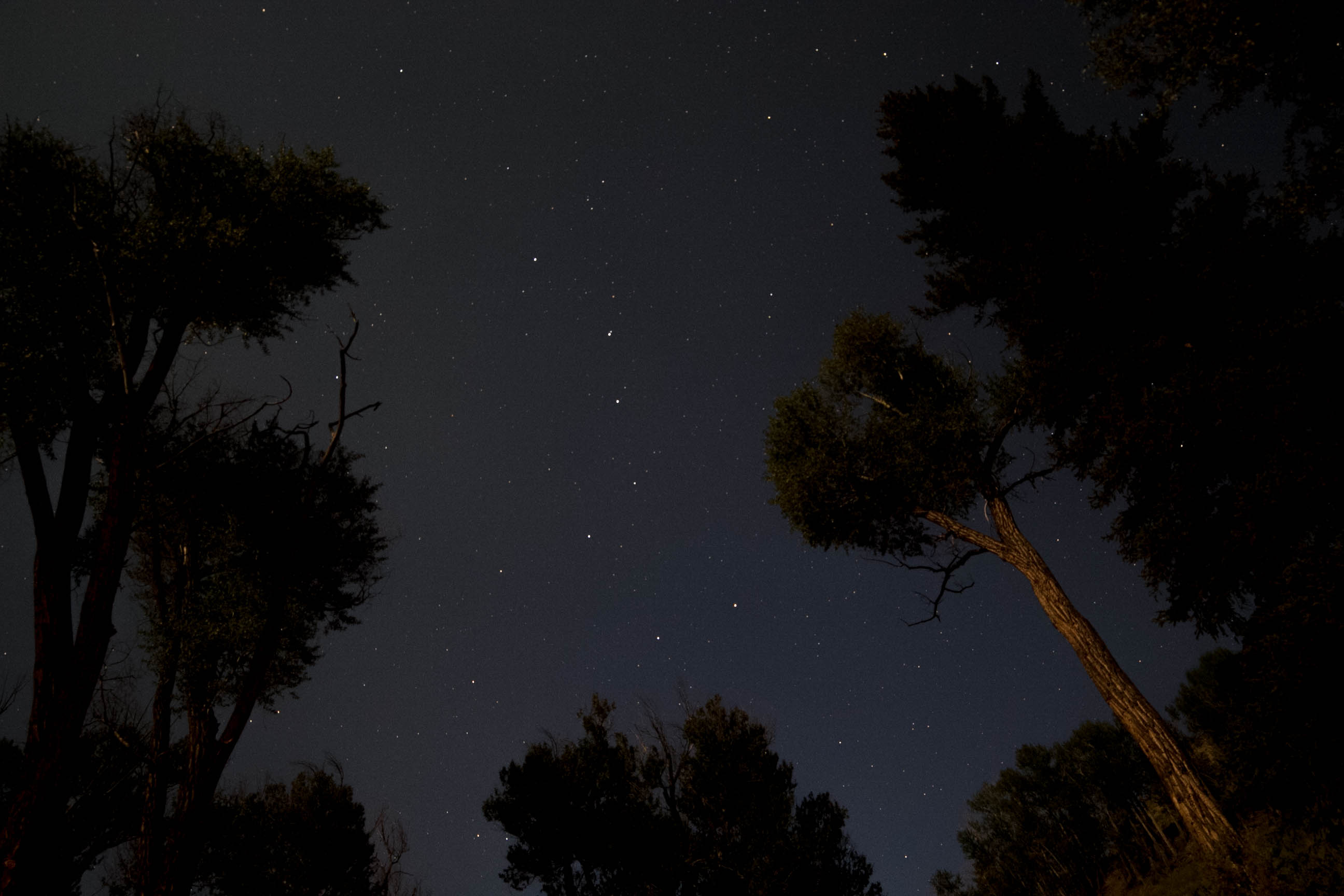 Camp at Deep Creek Campground