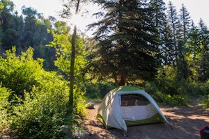 Camp at Deep Creek Campground