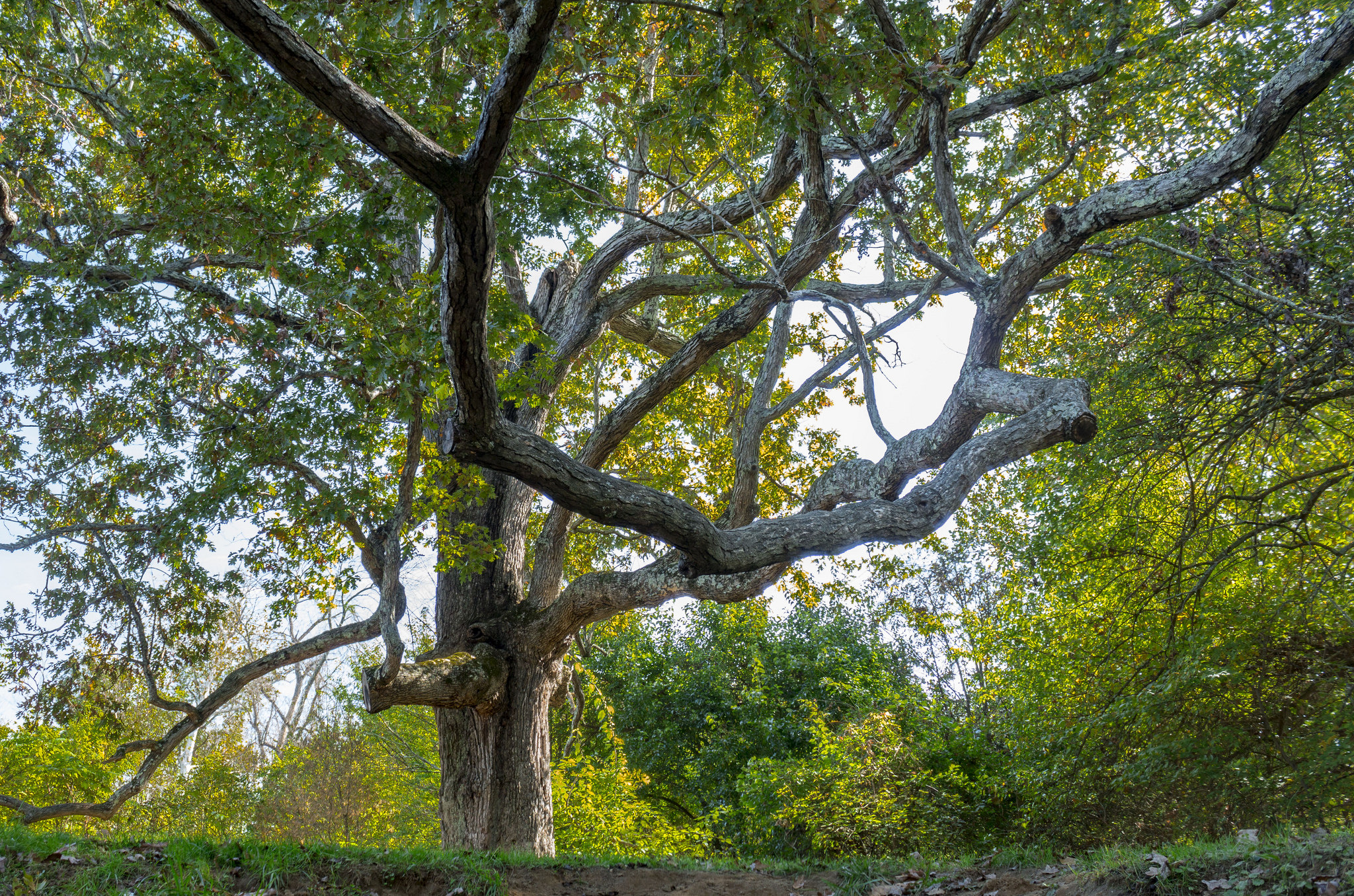 Hike the Historical Phillips Farm in Waterford