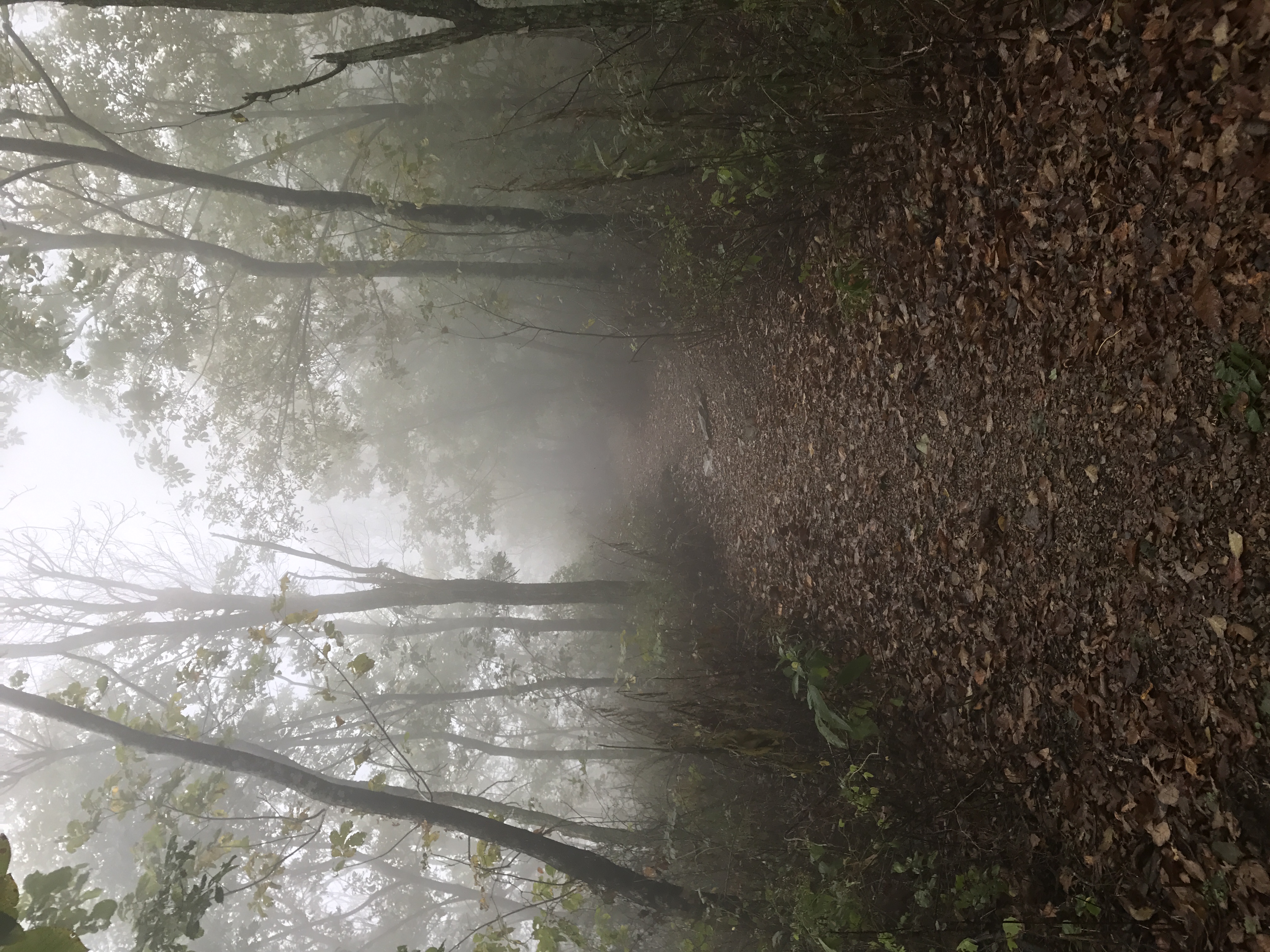 Lovers' Leap Trail