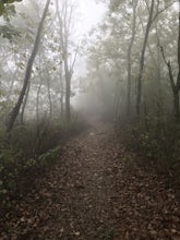 Lovers' Leap Trail