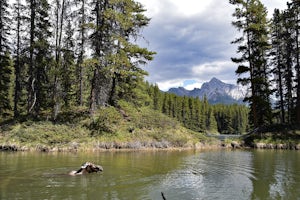 Hike the Moose Lake Loop