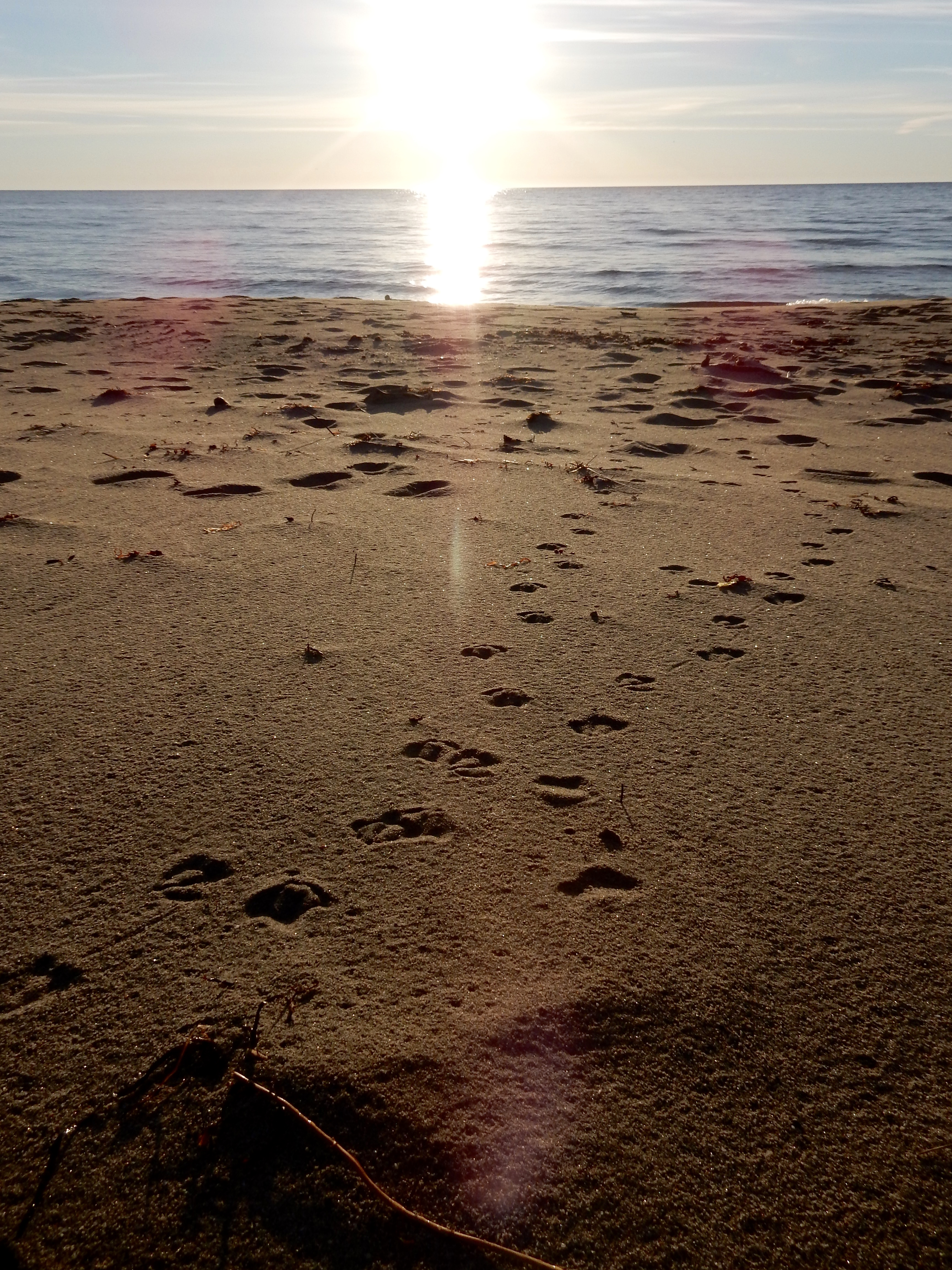 Walk on Kelly's Beach