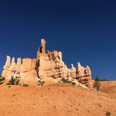 Go on a Horseback Adventure to the floor of Bryce Canyon 