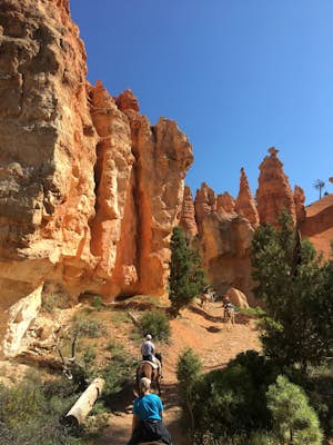 Go on a Horseback Adventure to the floor of Bryce Canyon 