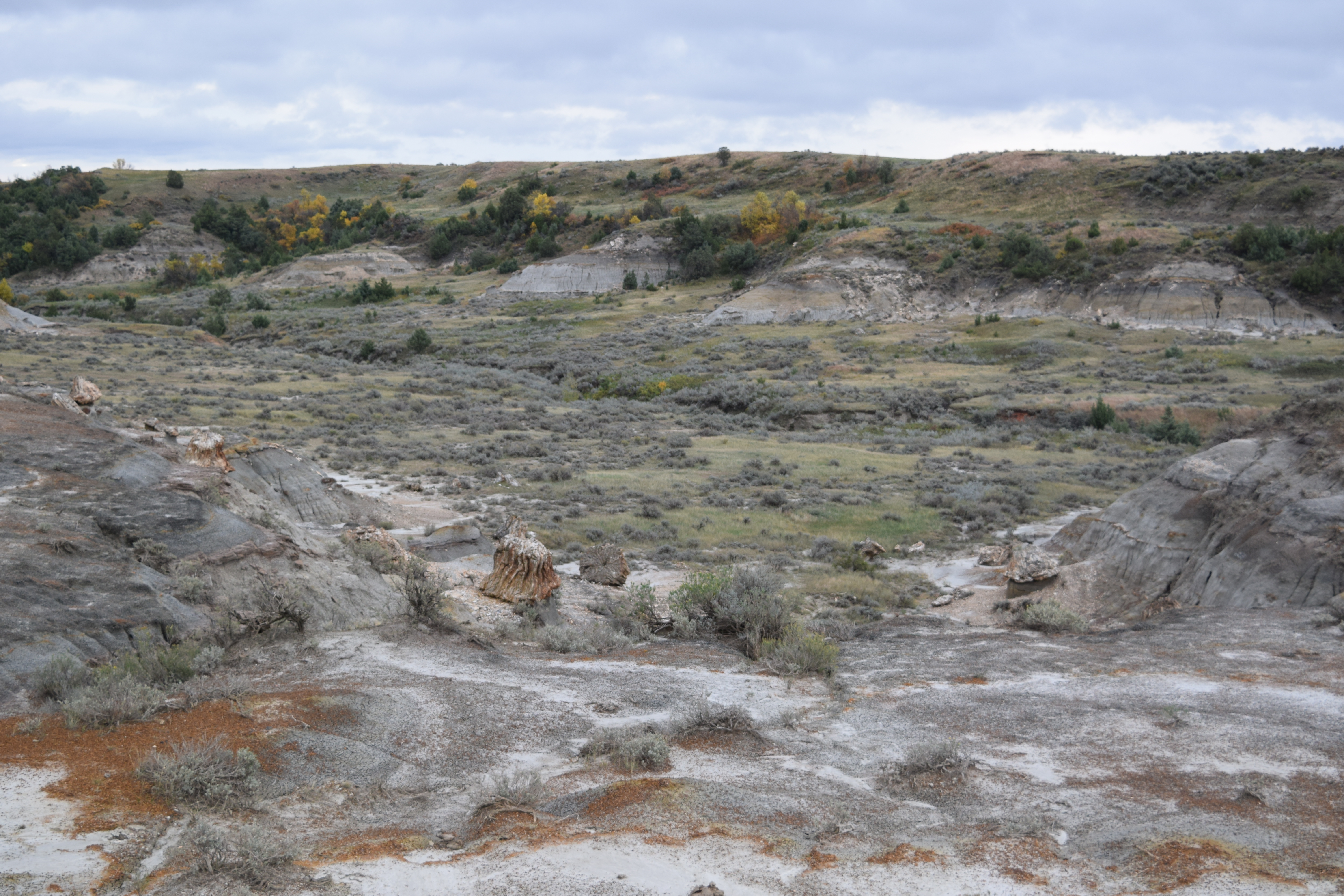 Petrified Forest Loop