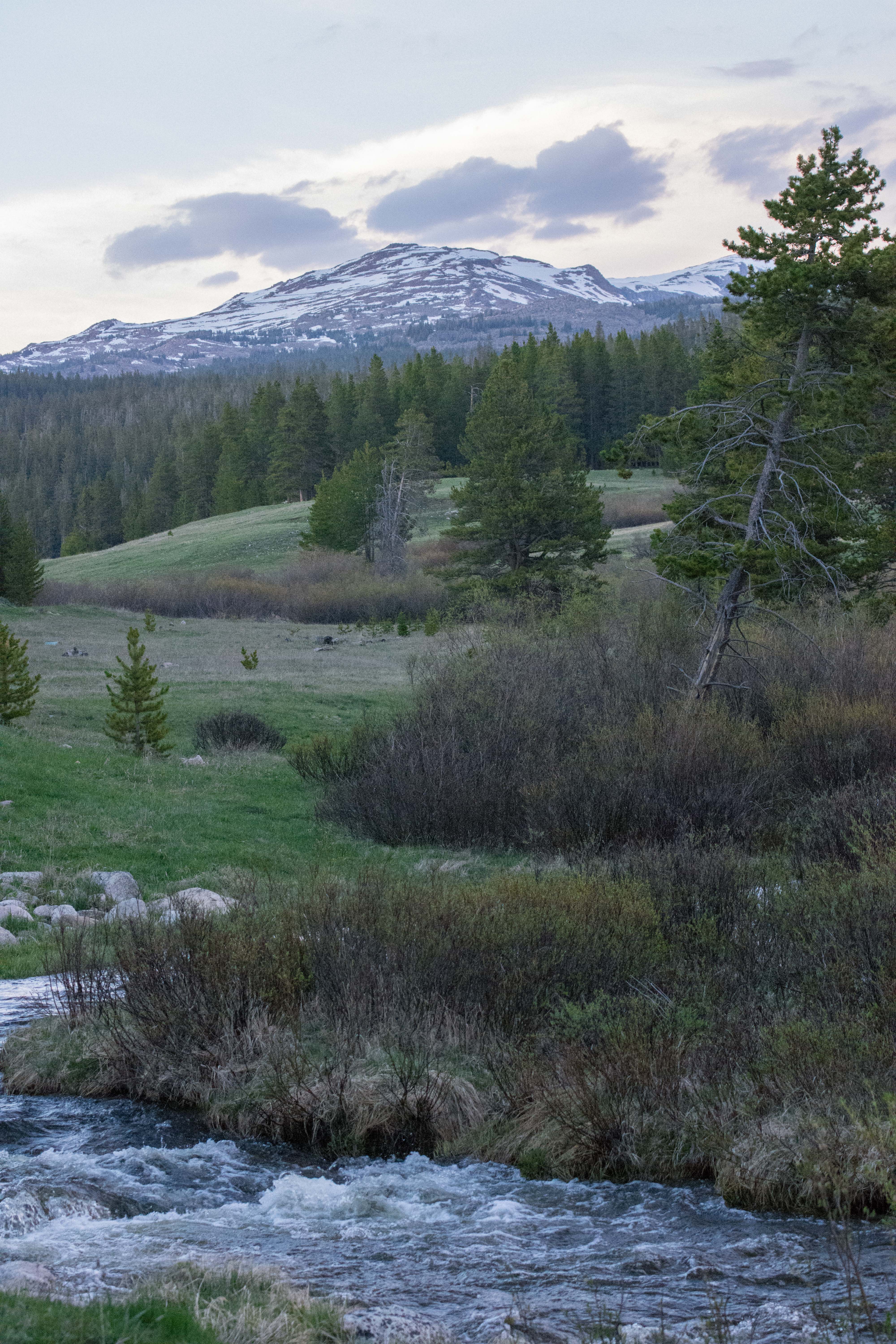 Camp at Sitting Bull Campground