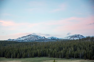 Camp at Sitting Bull Campground