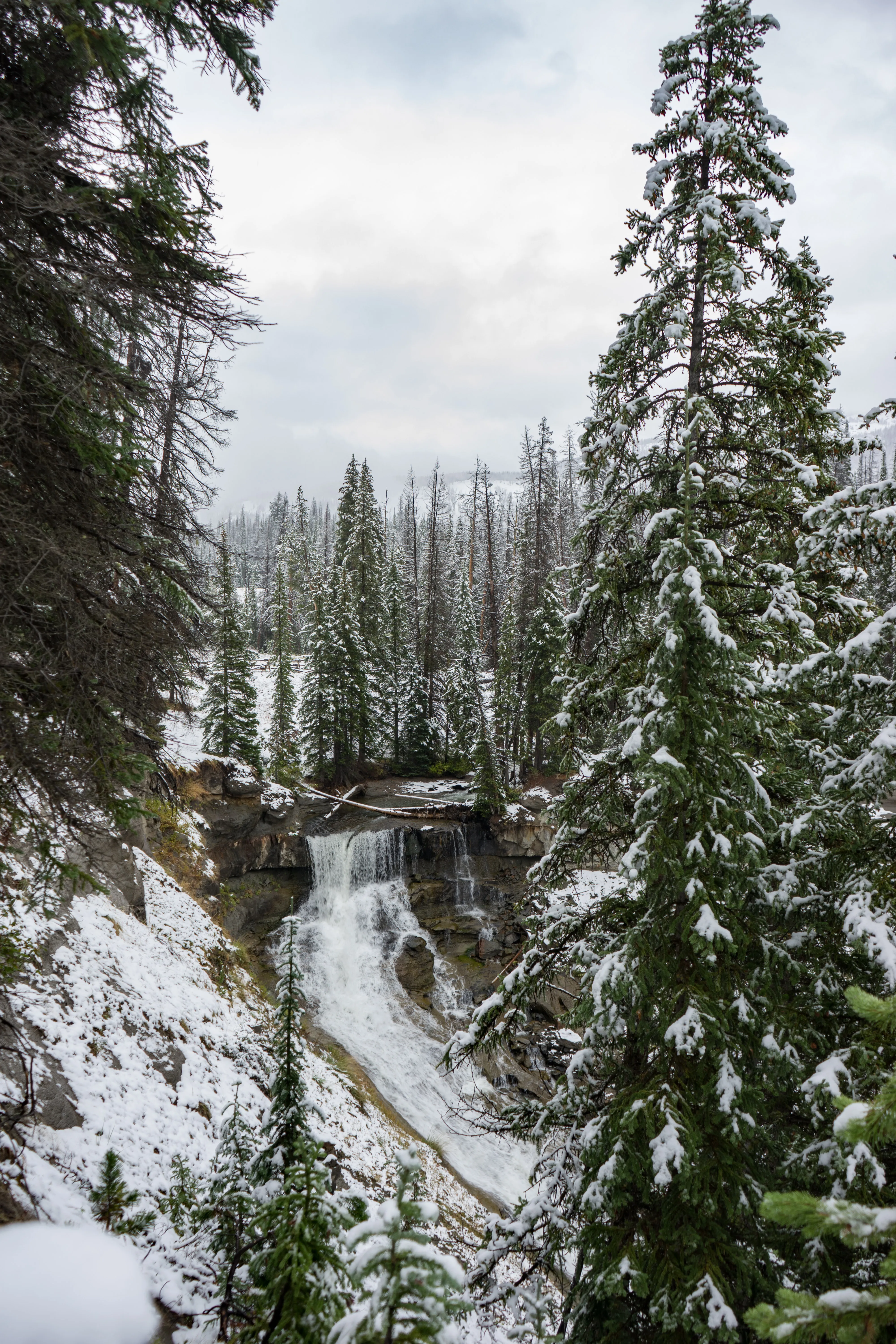 Photograph Brooks Lake Creek Falls