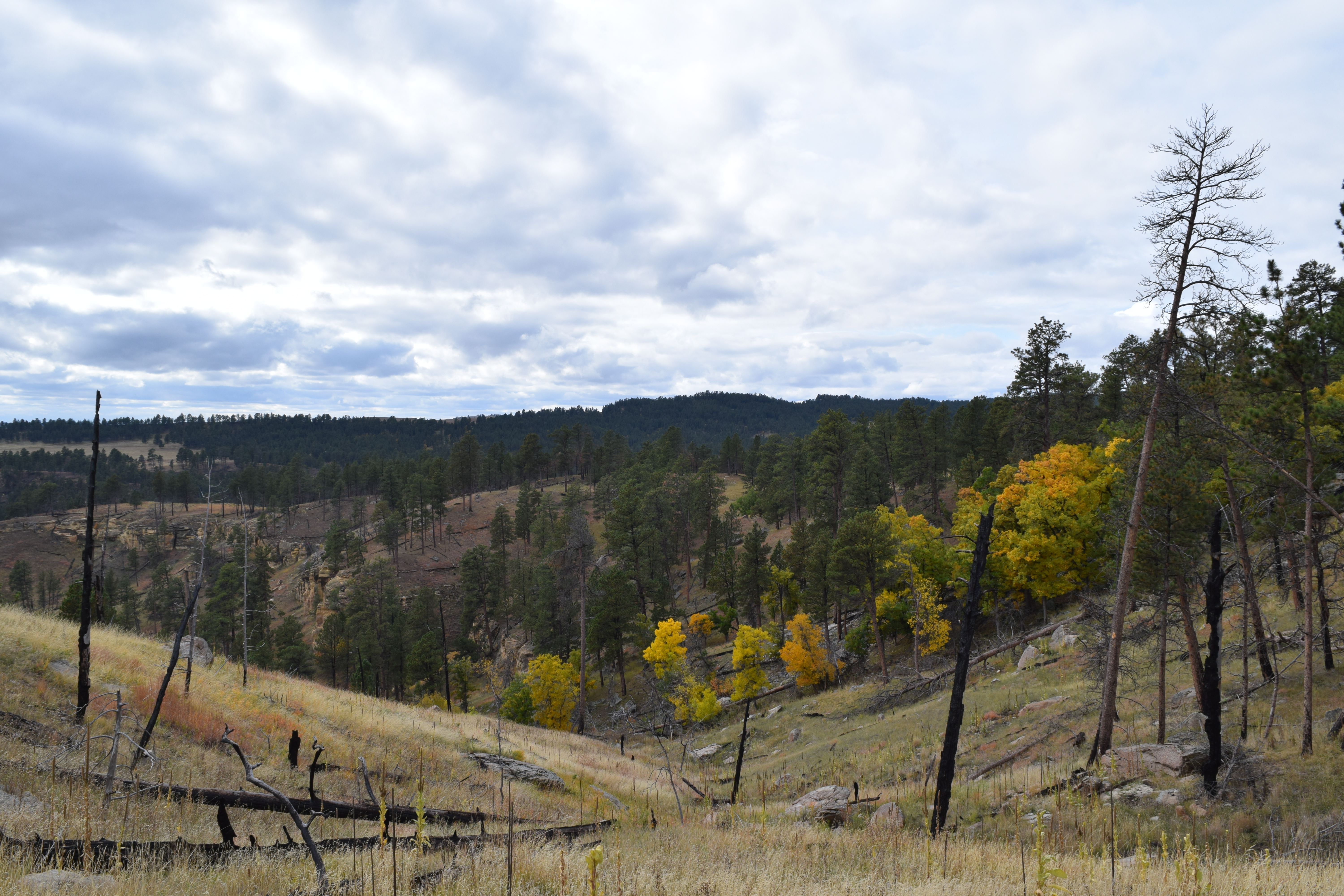 Red Beds Trail