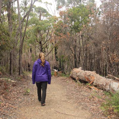 Hike Tasman National Park to Fortescue Bay via Tasman Trail