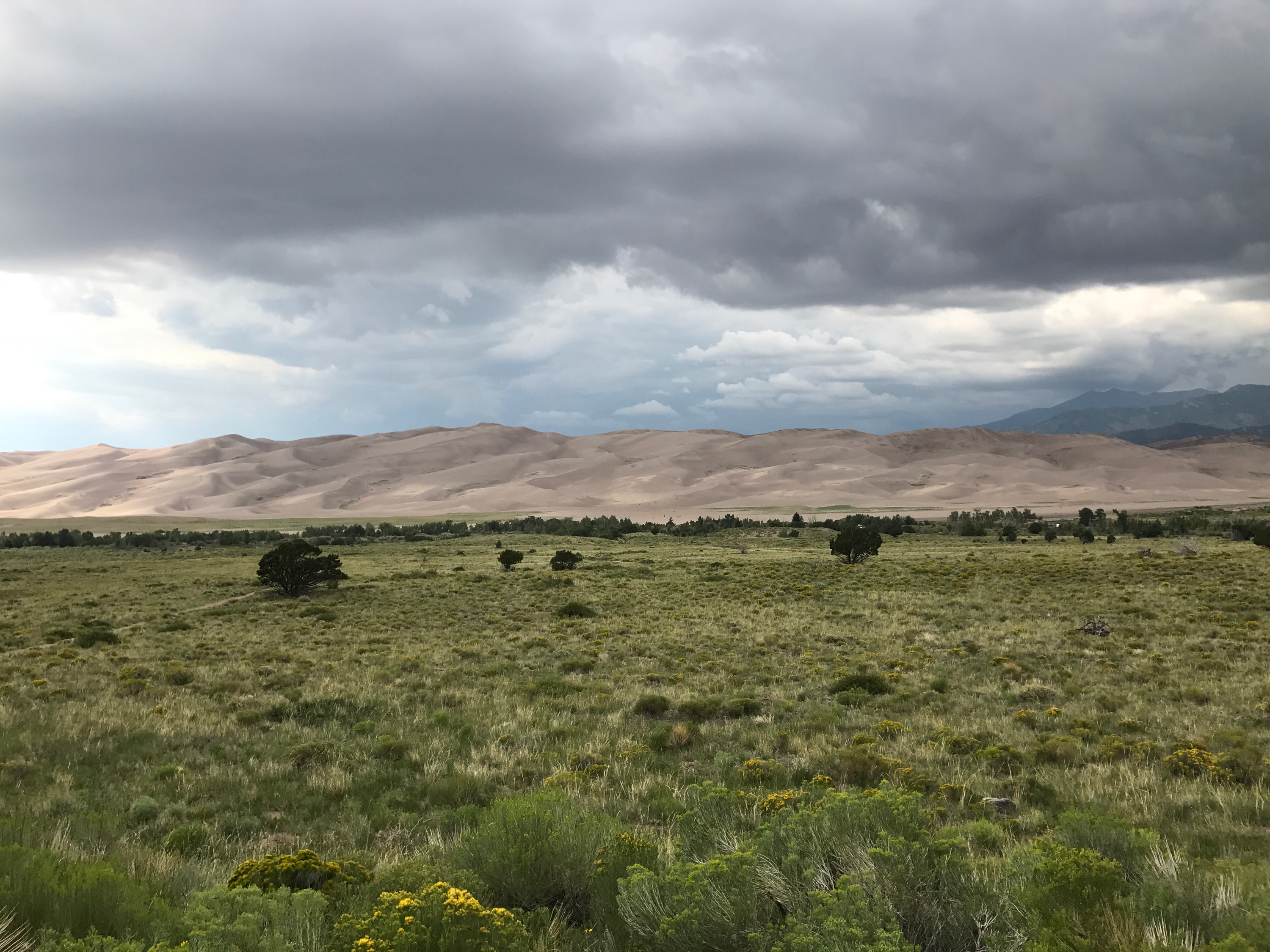 Sandboard in Great Sand Dunes National Park