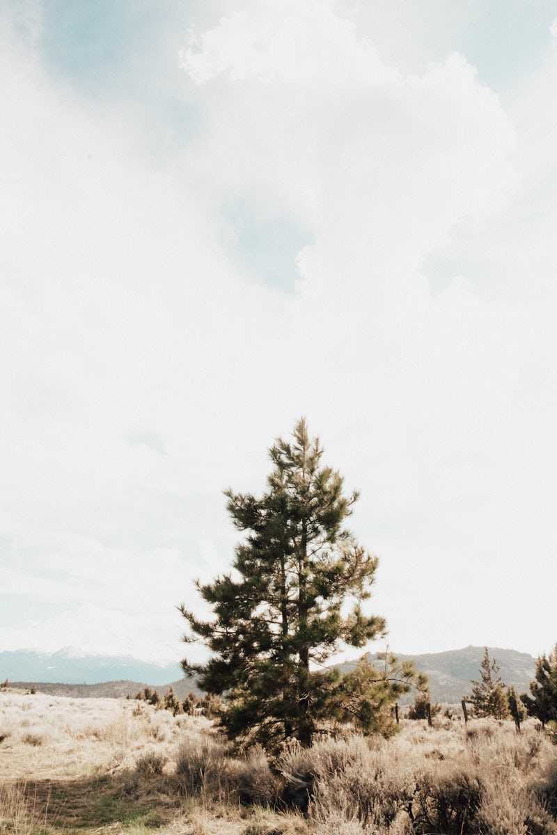 Photo of Explore Picketts Junction