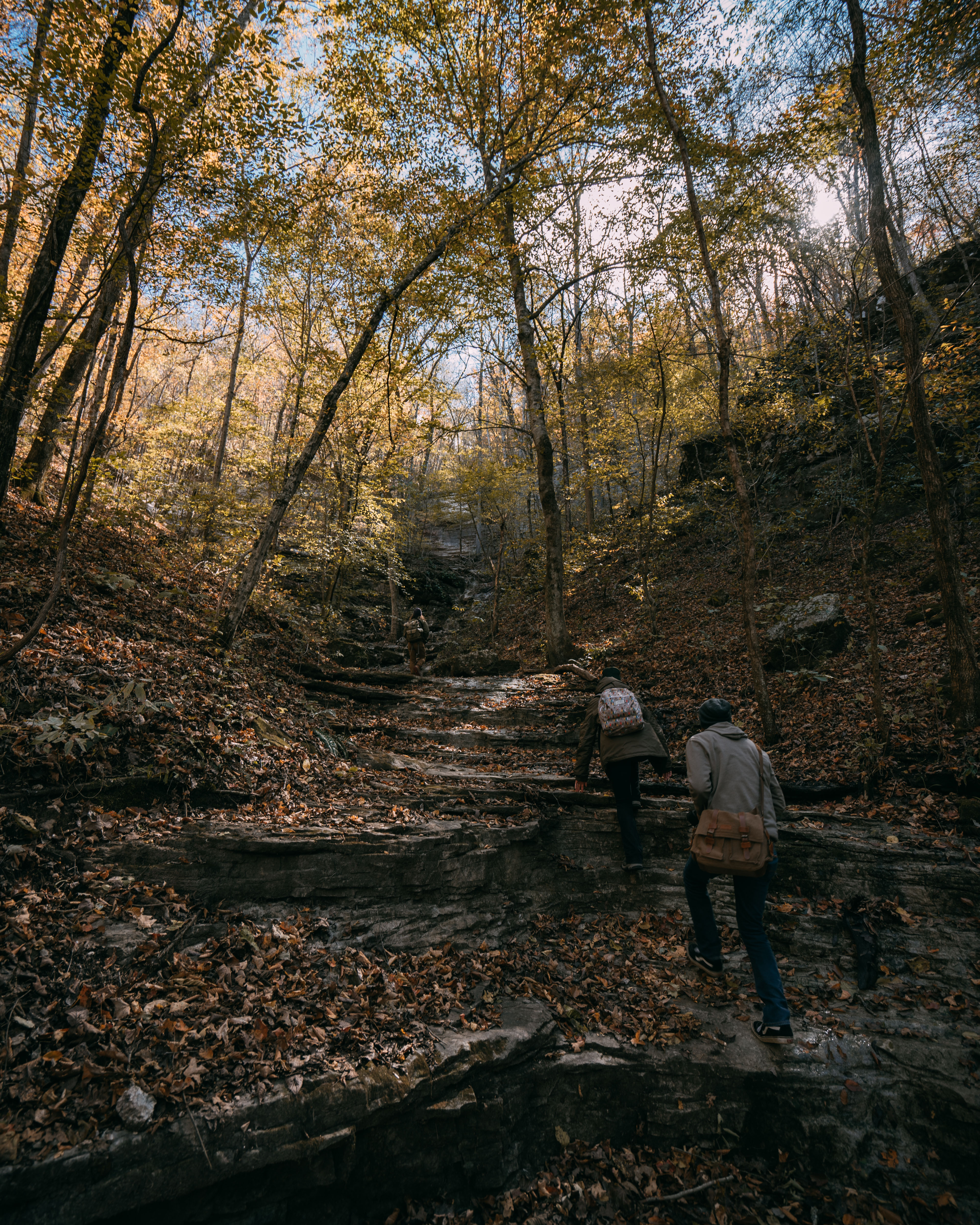Buffalo River Trail: Ponca to Steel Creek
