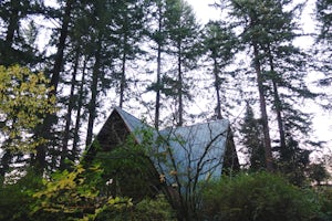 Hoyt Arboretum Loop