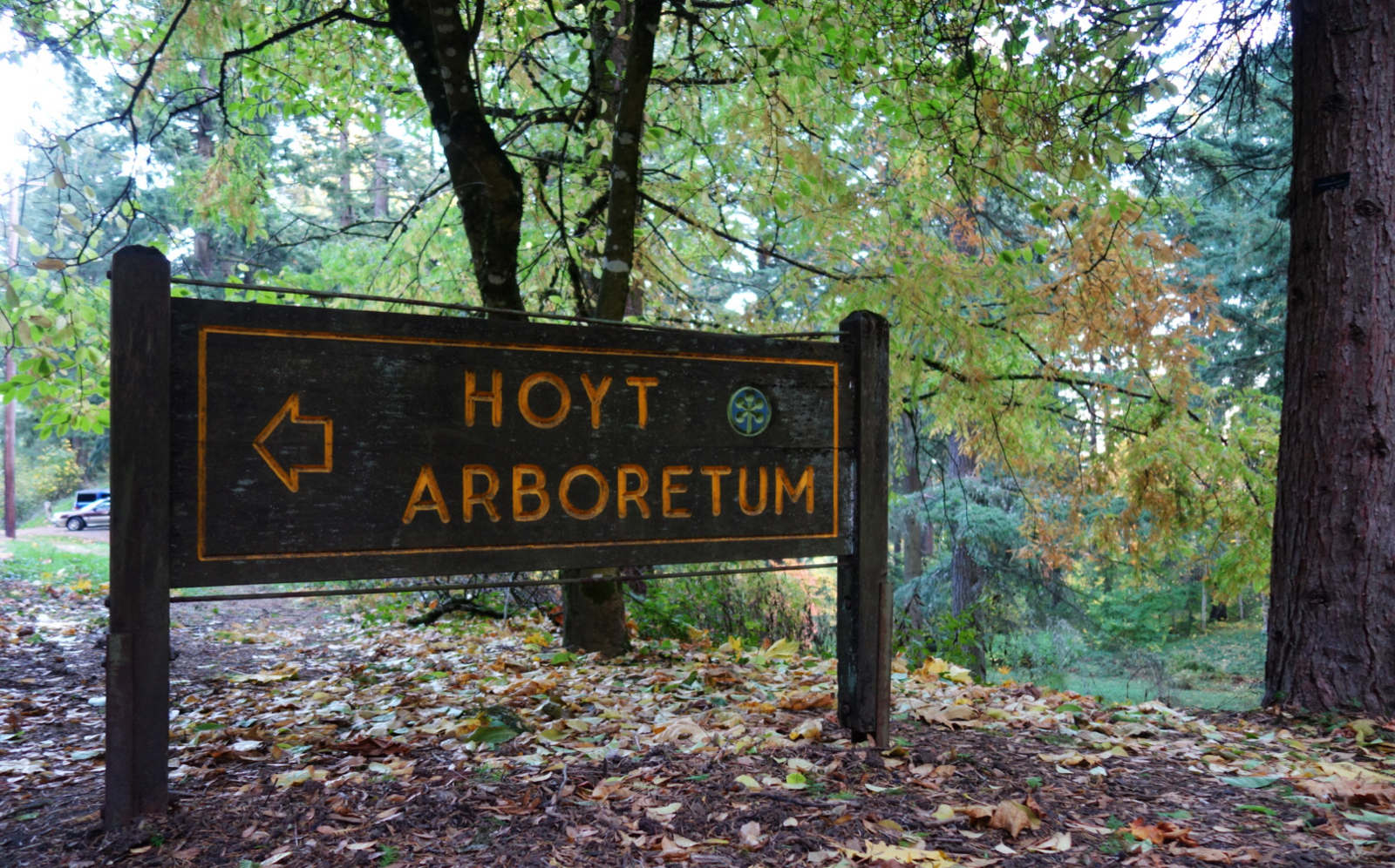 Hoyt Arboretum