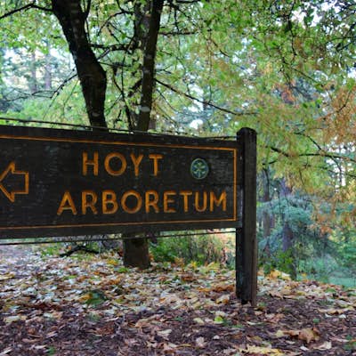 Hoyt Arboretum Loop