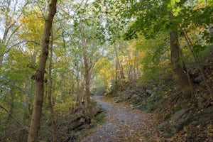 Explore Potomac Wayside Park