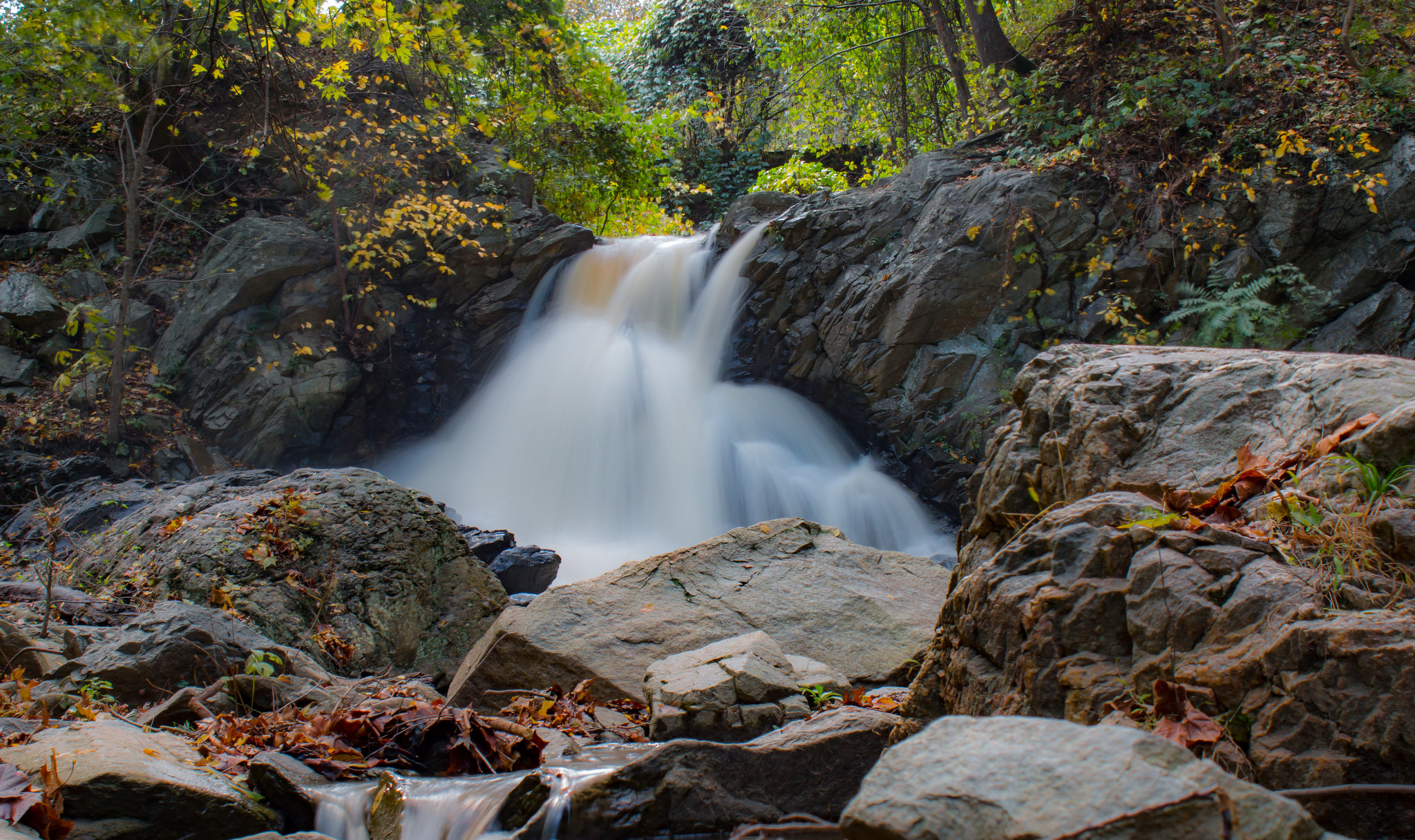 Potomac Wayside Park