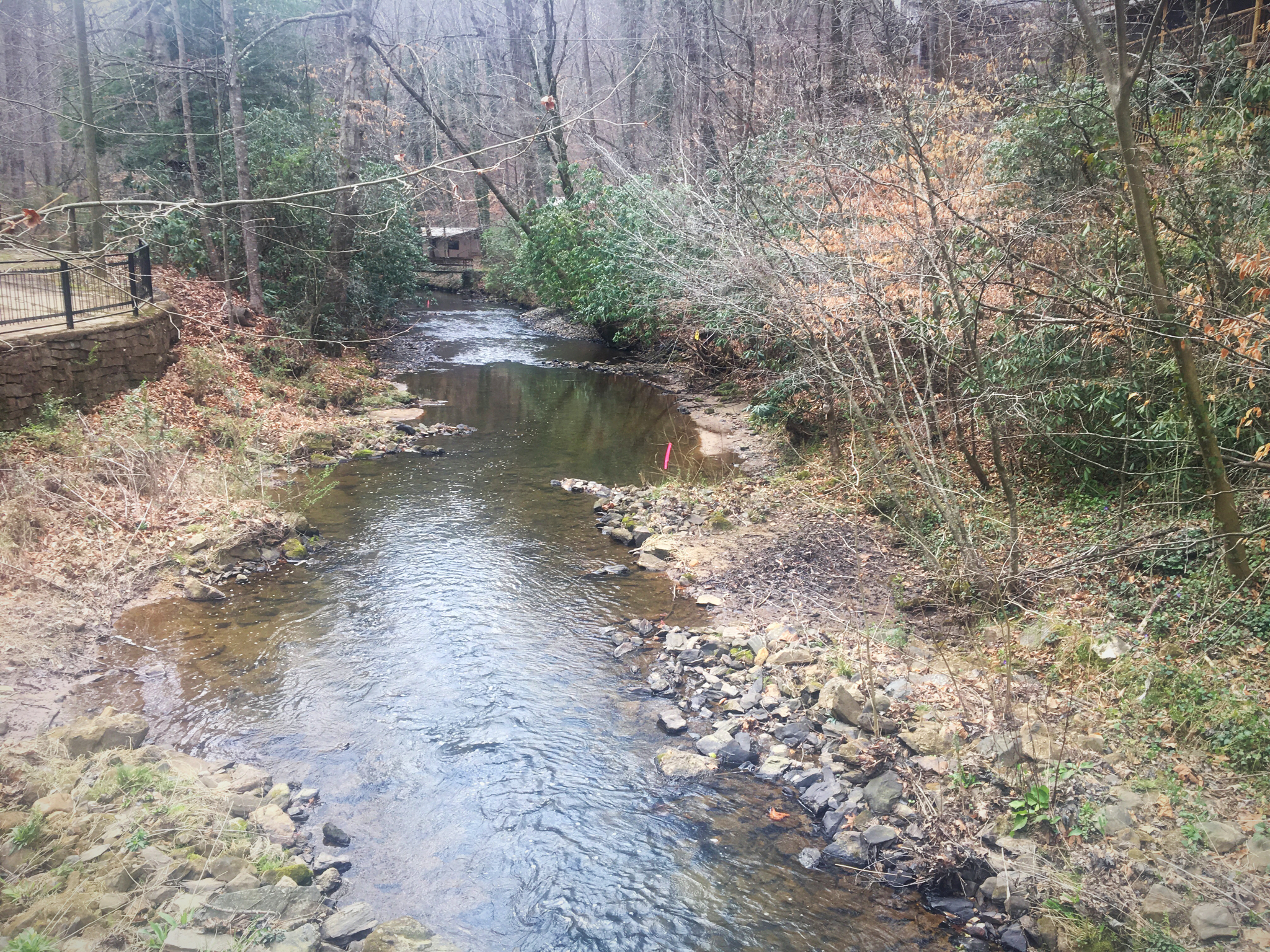 Explore Cane Creek Falls