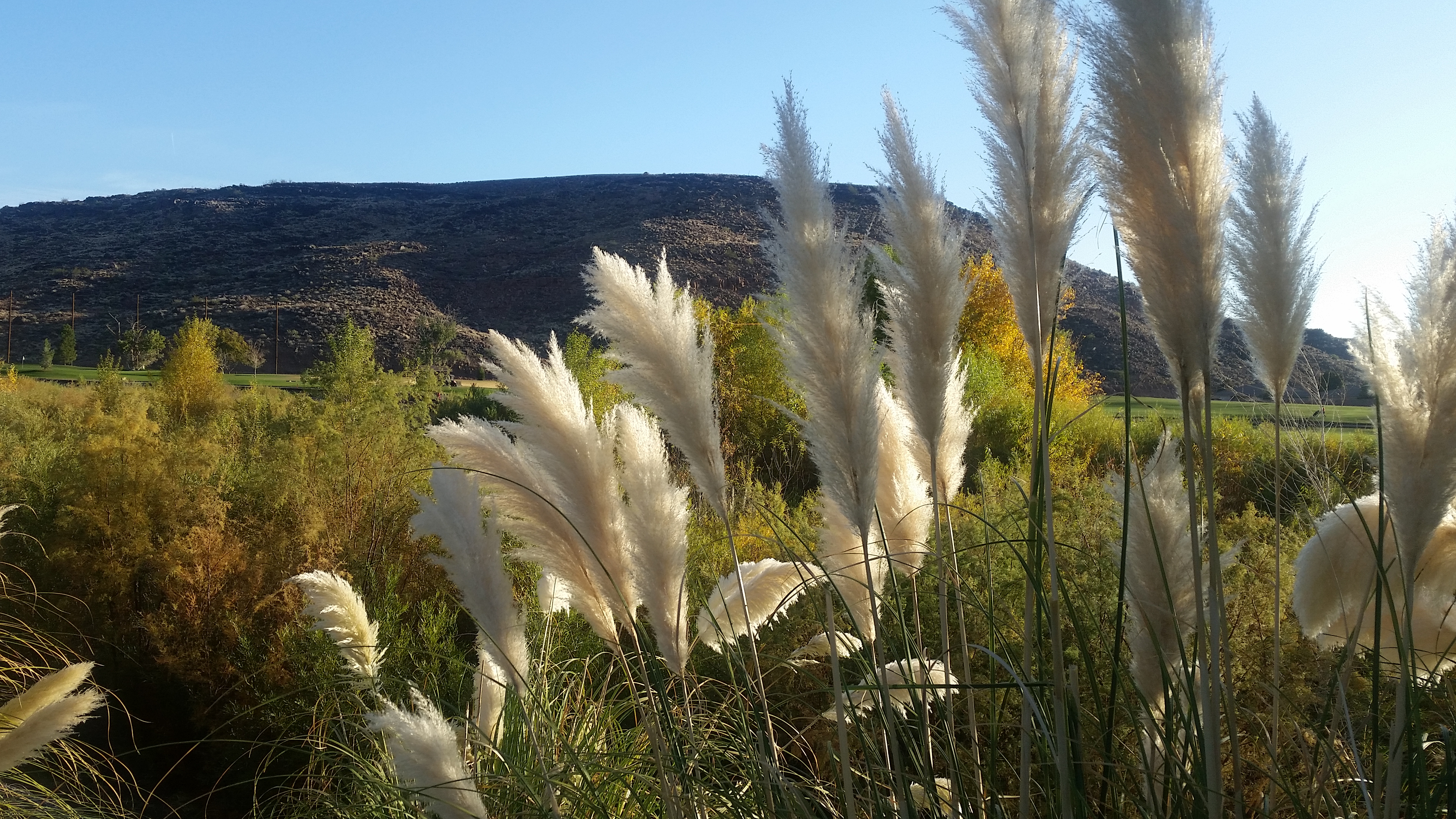 Run the Santa Clara River Trail to Tonaquint Park and Cottonwood Cove Park