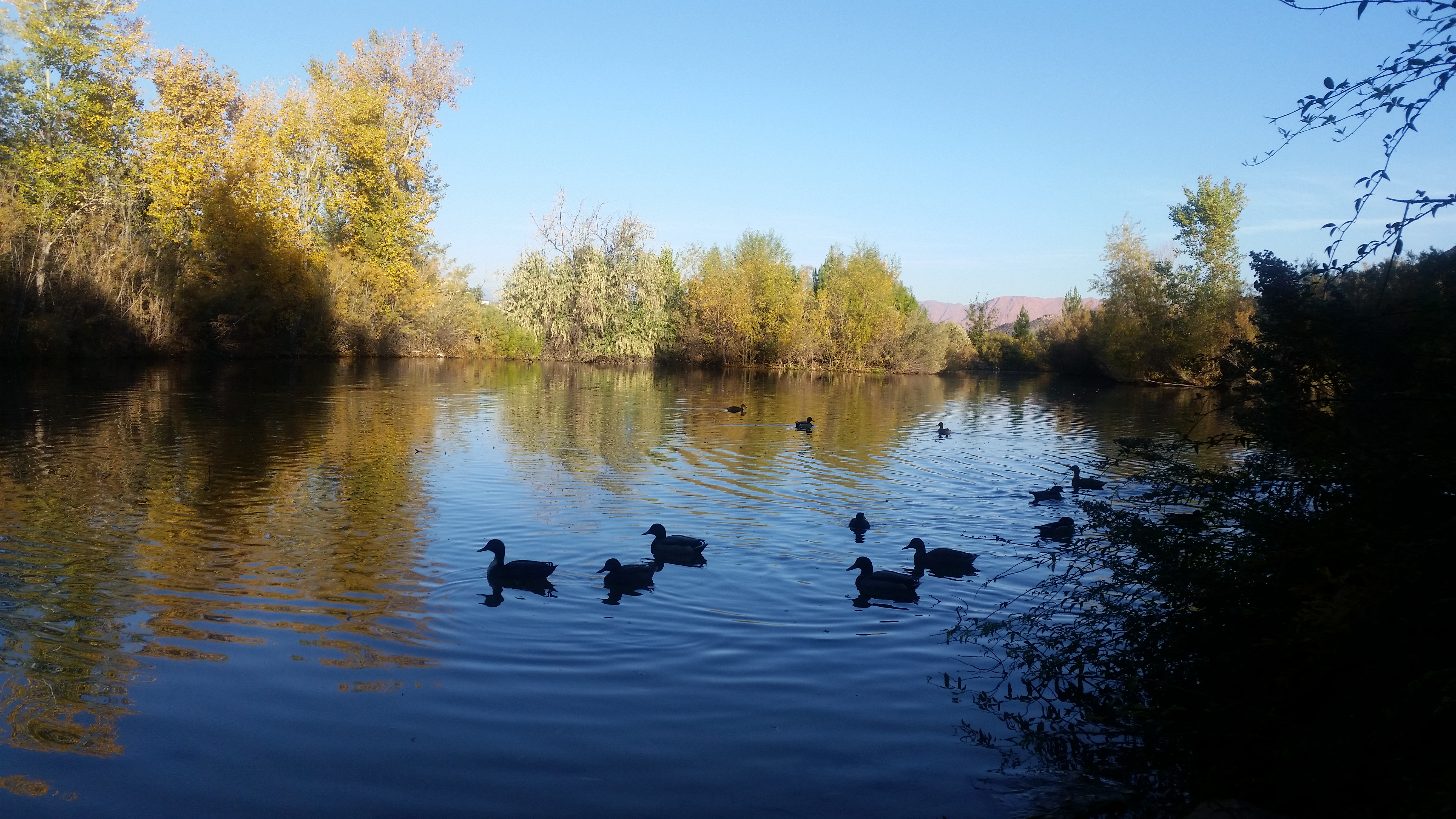 Run the Santa Clara River Trail to Tonaquint Park and Cottonwood Cove Park