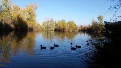 Run the Santa Clara River Trail to Tonaquint Park and Cottonwood Cove Park