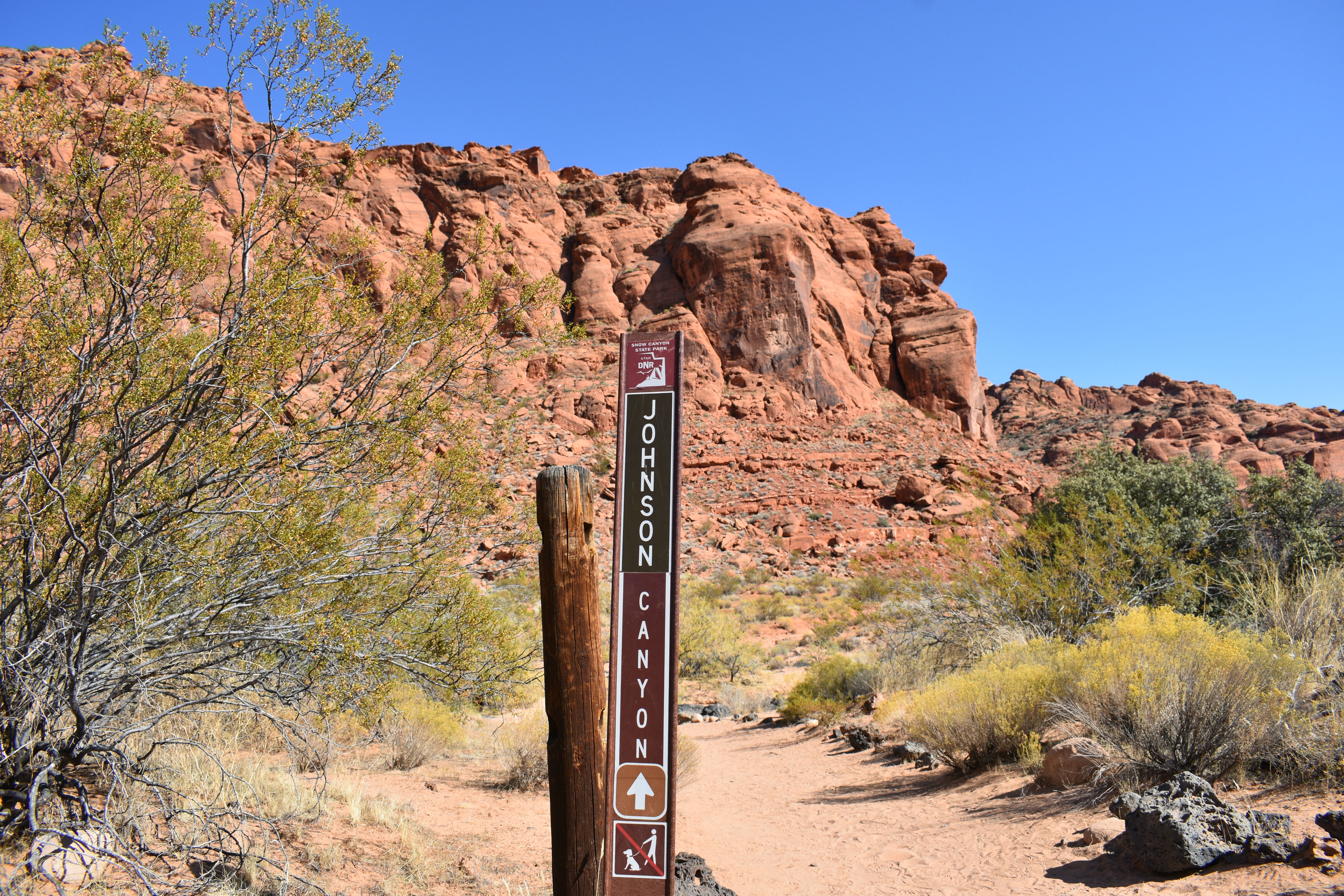 Hike to the Johnson Canyon Arch in Snow Canyon State Park