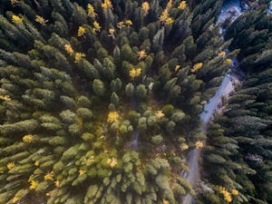 Hike Changping Valley in Siguniang National Park (长坪沟 - 四姑娘山)