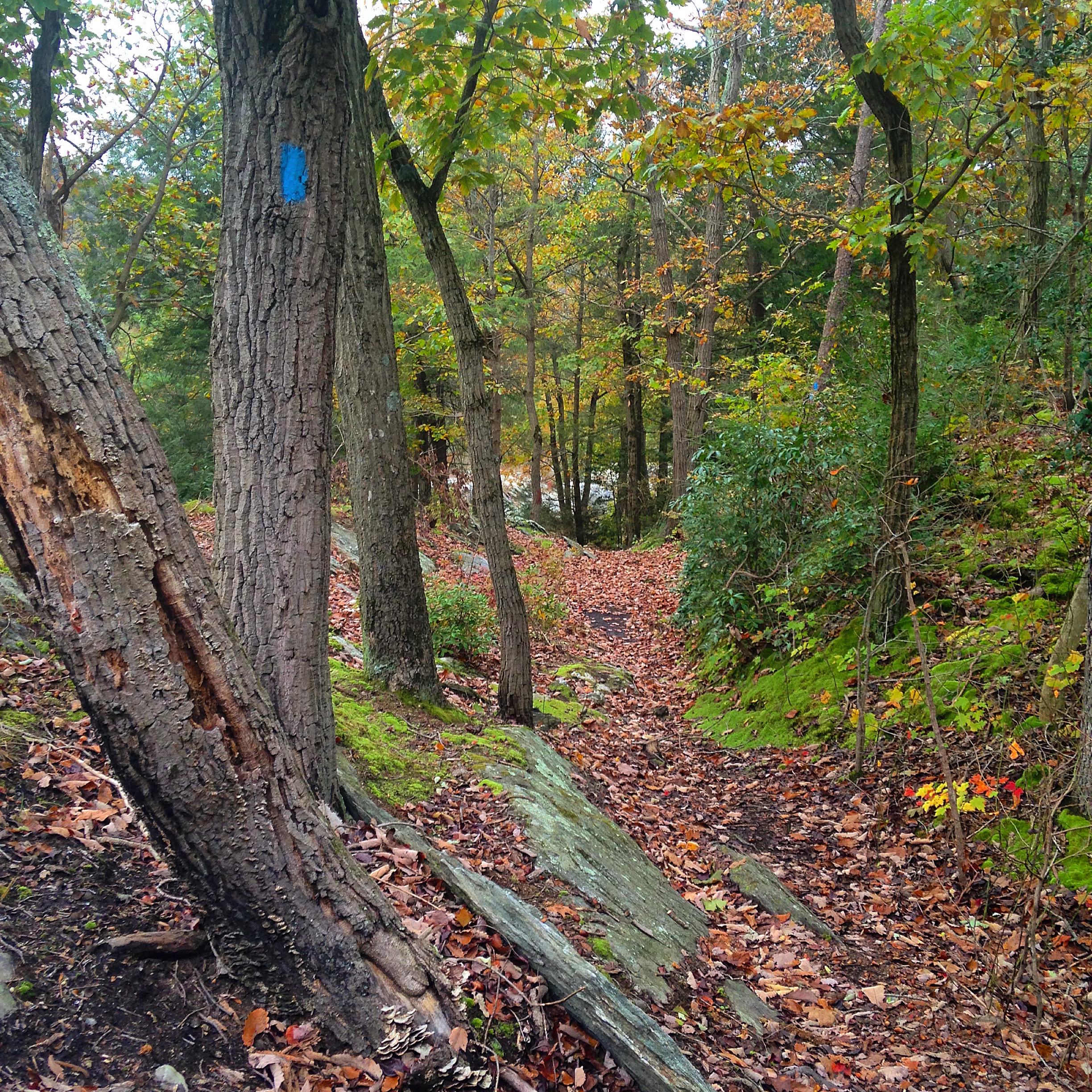 Explore Mill Creek Falls