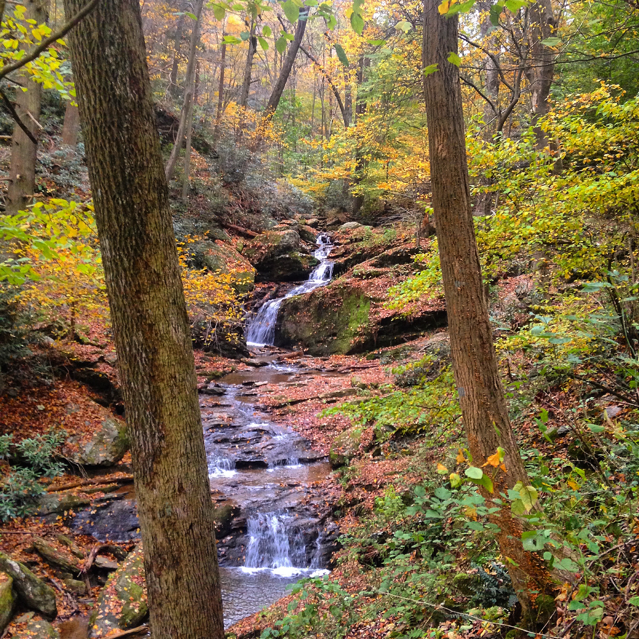 Explore Mill Creek Falls