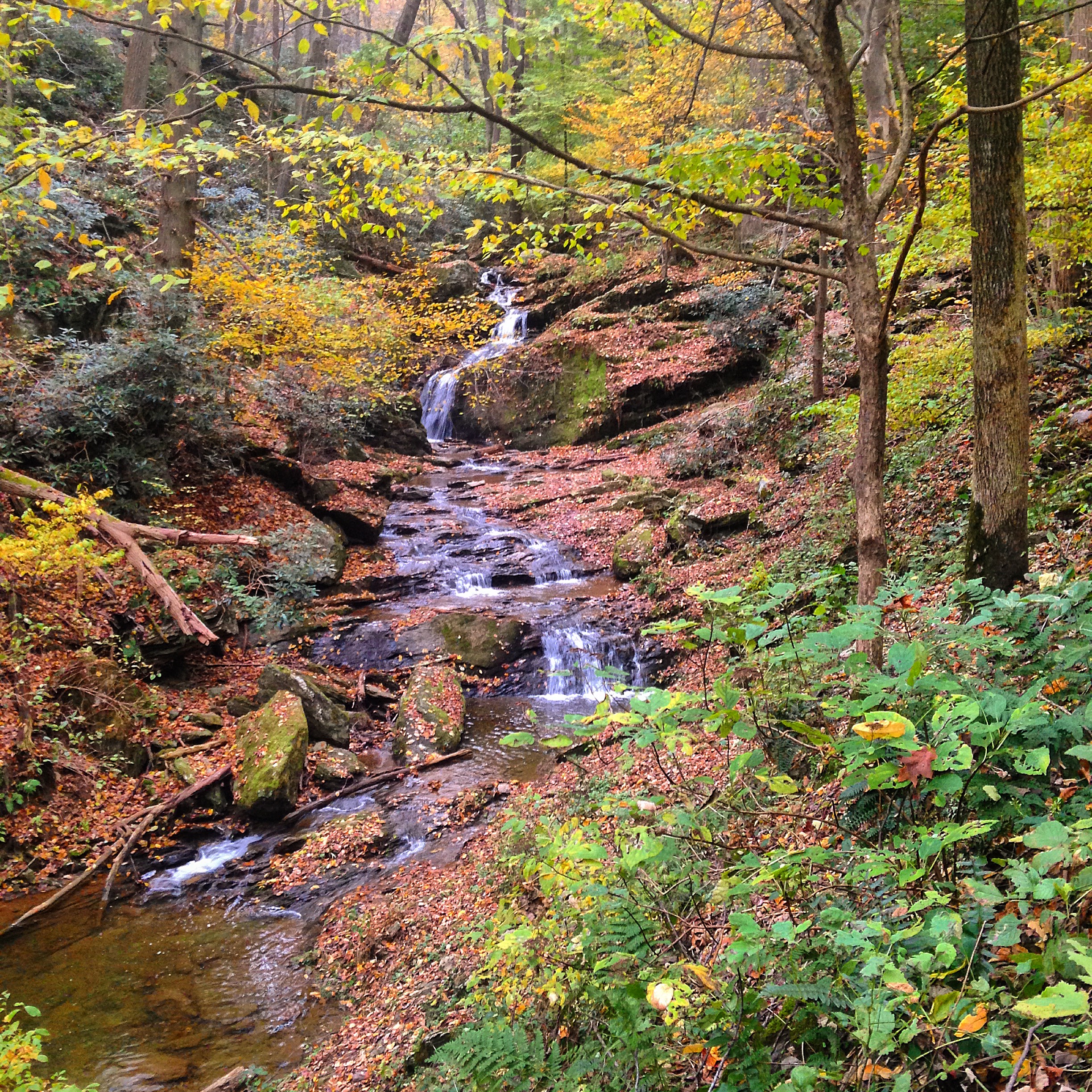 Explore Mill Creek Falls