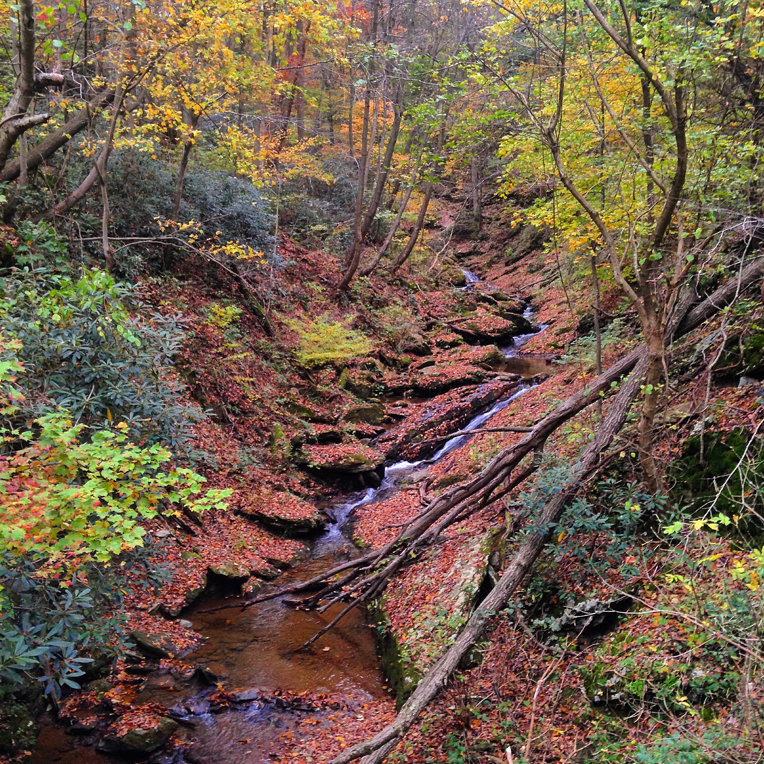 Explore Mill Creek Falls
