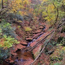 Explore Mill Creek Falls