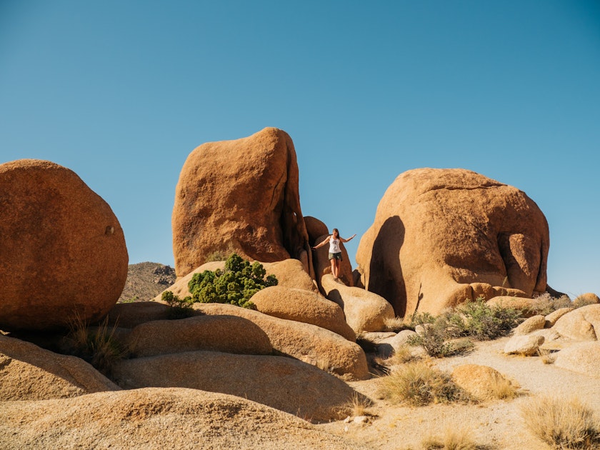 Hike Split Rock Loop in Joshua Tree National Park, Twentynine Palms