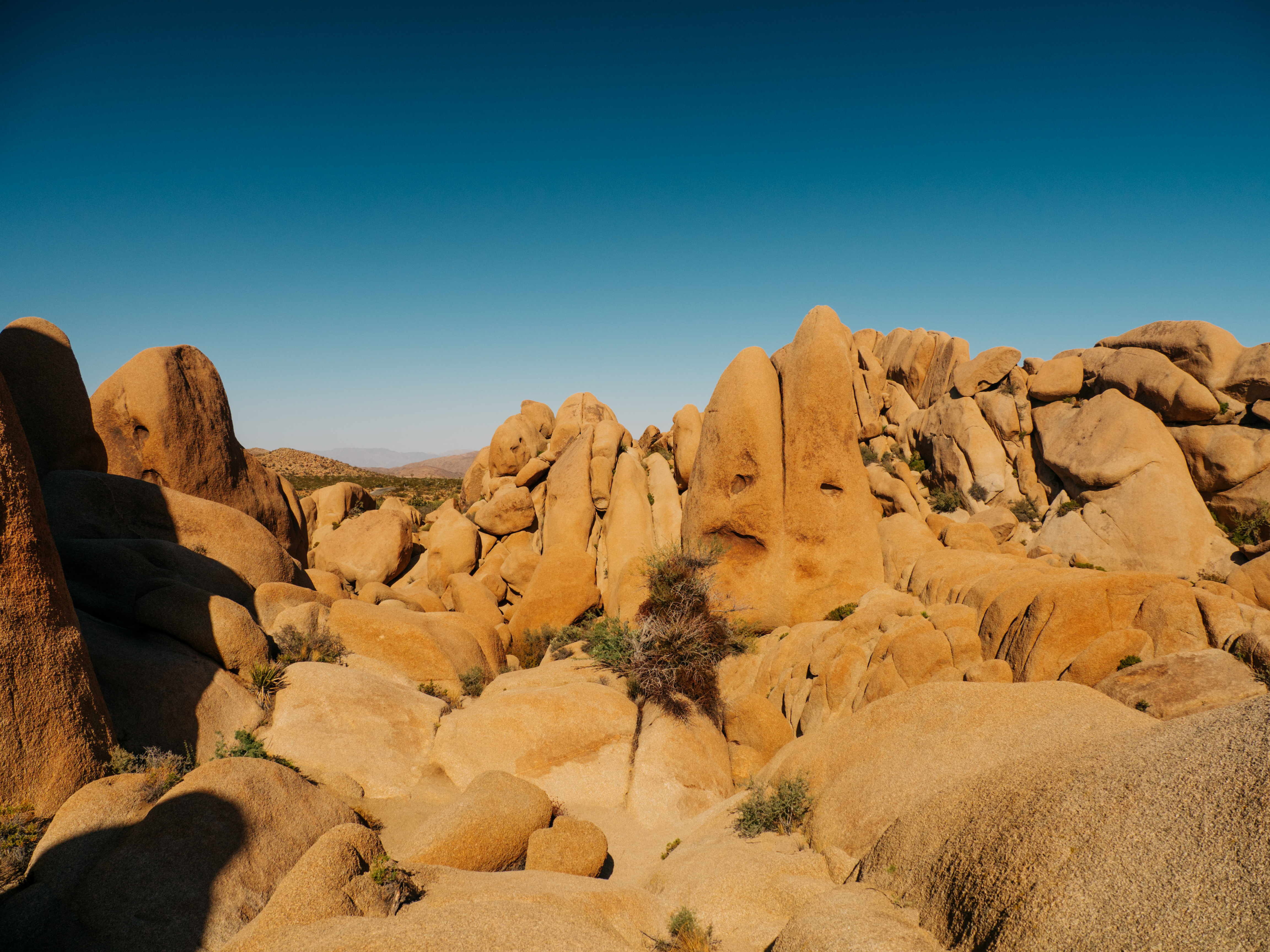 Skull Rock Trail at Joshua Tree National Park