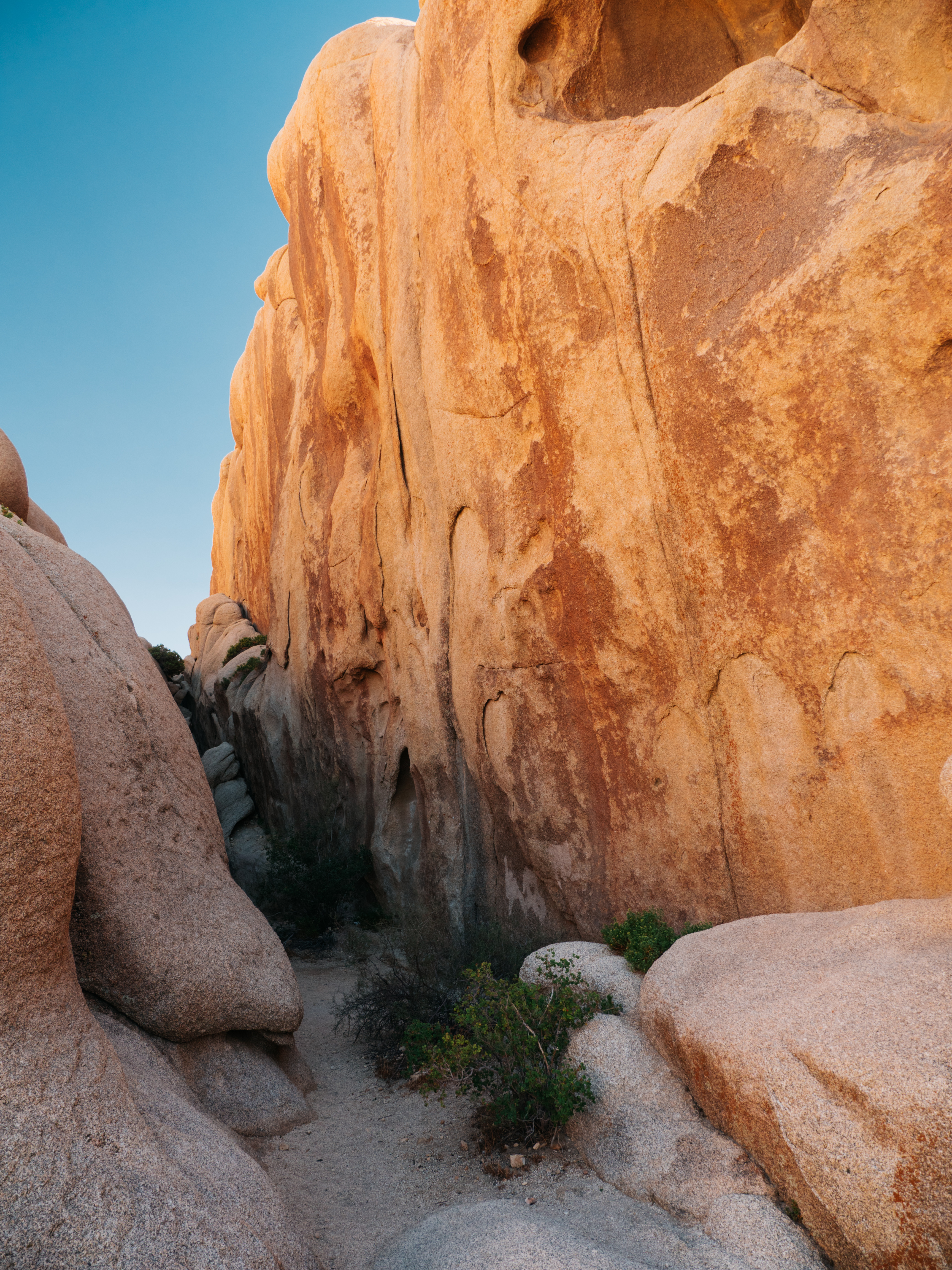 Skull Rock Trail at Joshua Tree National Park