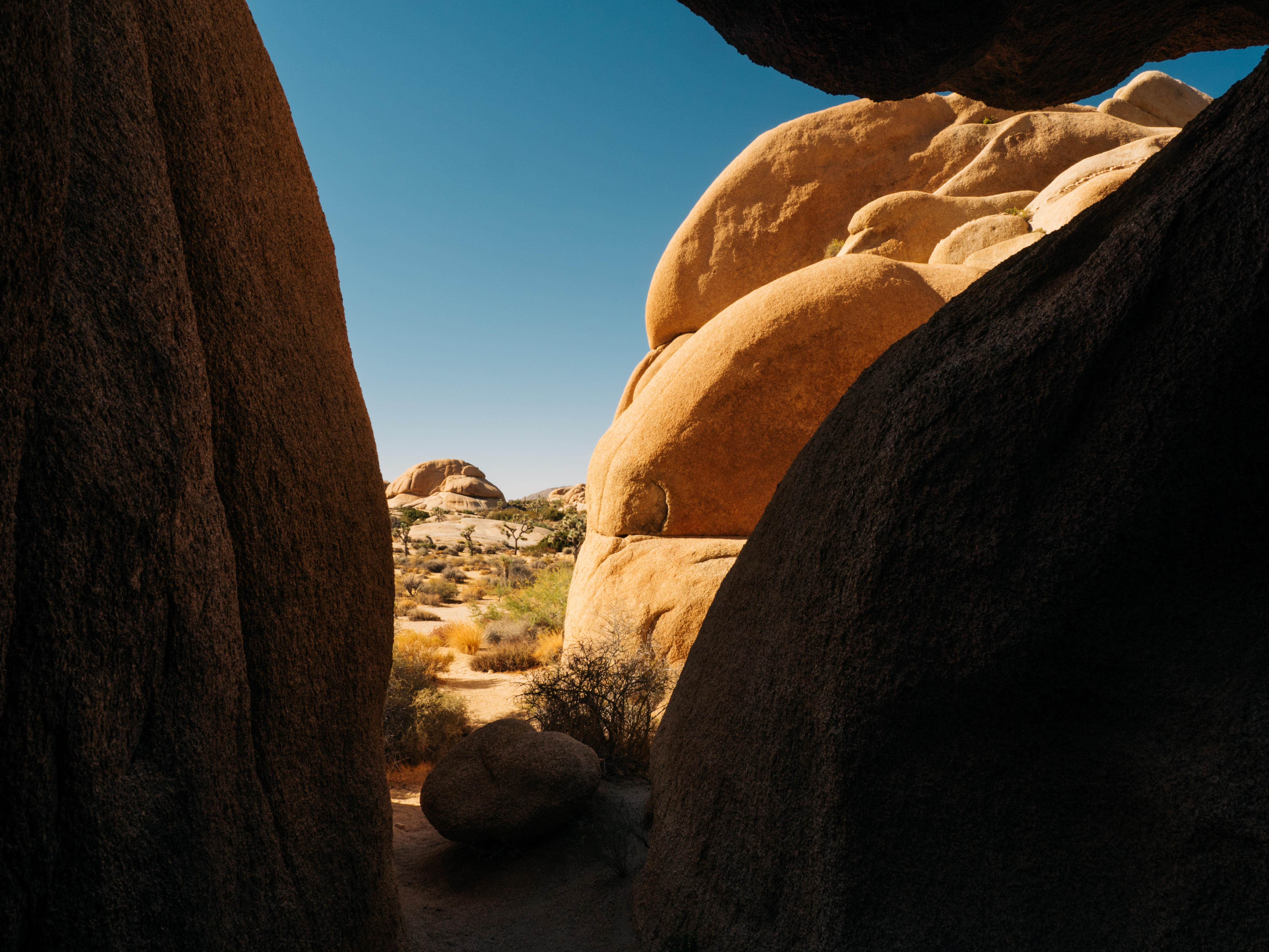 Skull Rock Trail at Joshua Tree National Park